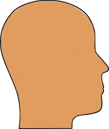 head.webp